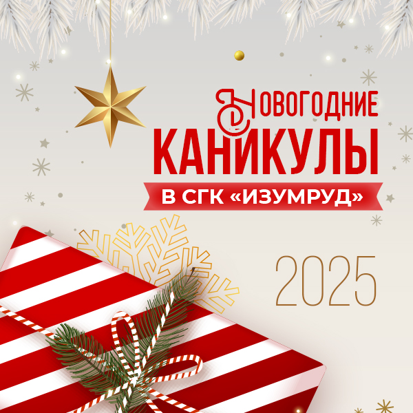 Новогодние тарифы 2025